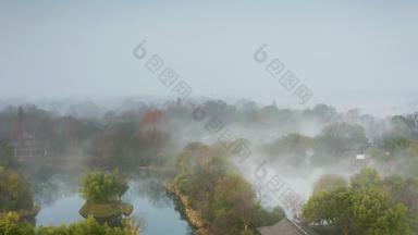 杭州冬季西溪湿地晨雾云雾缭绕